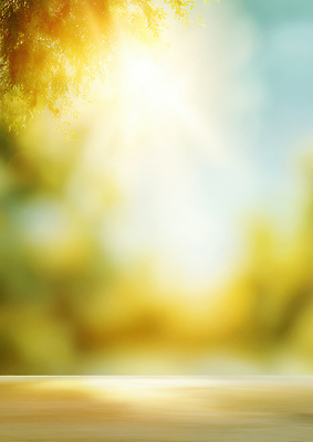 JPG 나무 편집이미지 공원 컬러 백그라운드 자연 조명 밝음 풍경 햇빛 소풍 숲 오후 이미지편집 AI포토 AI콘텐츠 식물 공공시설 태양 야외활동 생태계 파일형식