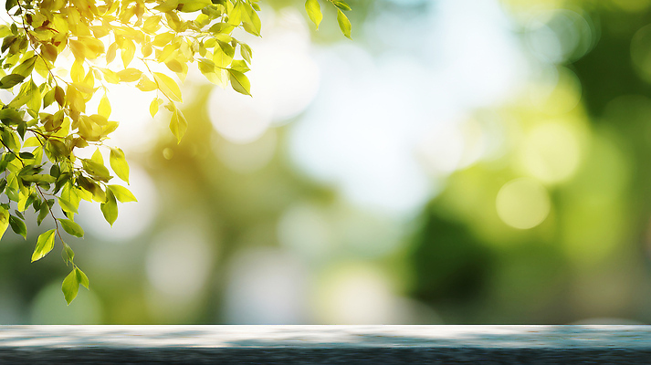 JPG 나무 식물 편집이미지 백그라운드 잎 자연 생명 초록색 여름 빛 반짝임 햇빛 장면 흐림 이미지편집 AI포토 AI콘텐츠 계절 컬러 모션 날씨 태양 생태계 파일형식