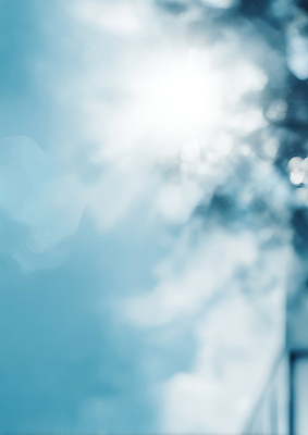 JPG 주간 식물 편집이미지 자연 하늘 생명 날씨 나뭇잎 여름 파란색 빛 햇빛 태양 광선 시원함 흐림 이미지편집 AI포토 AI콘텐츠 자연요소 계절 컬러 잎 생태계 파일형식