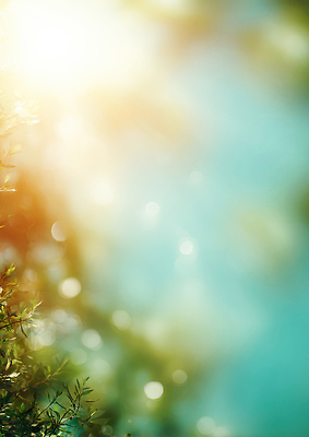 JPG 편집이미지 감정 컬러 자연 풍경 초록색 물 여름 파란색 빛 햇빛 반사 일몰 차분 이미지편집 AI포토 AI콘텐츠 자연요소 계절 컨셉 태양 노을 생태계 파일형식