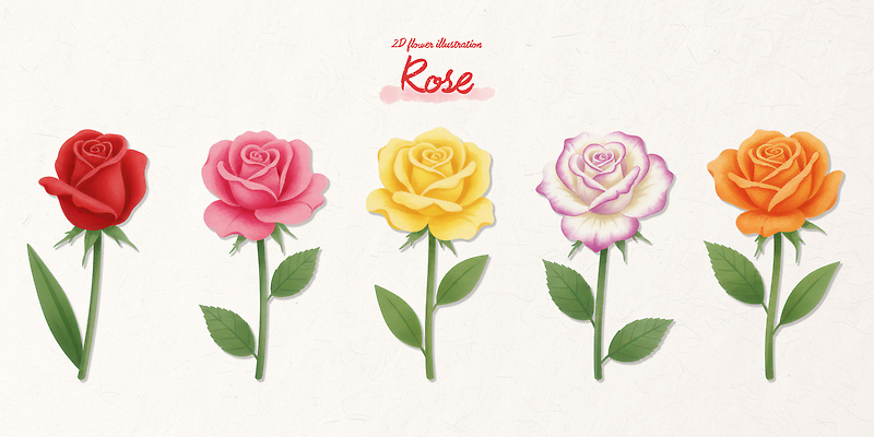 식물 꽃 컨셉 미술 파일형식 장미 컬러 디자인 그림 예술 나란히 꽃잎 줄기 잎 스타일 표현 창의력 스케치 꽃다발 화사함 일러스트 국내일러스트 PSD