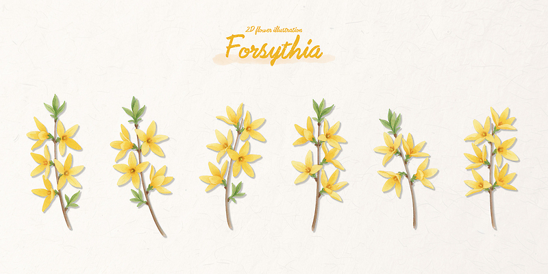 PSD 나무 식물 꽃잎 꽃 화초 줄기 컬러 꽃다발 일러스트 자연 생명 야외 노란색 정원 봄 개나리 배열 주말 솔방울 조화 국내일러스트 계절 생태계 파일형식