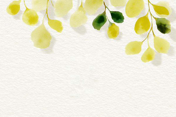 JPG 식물 디자인 예술 컬러 백그라운드 잎 일러스트 자연 수채화 미술 장식 초록색 흰배경 그림 소재 조화 국내일러스트 AI일러스트 AI콘텐츠 문화예술 흰색 생태계 파일형식