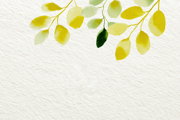 JPG 식물 디자인 예술 백그라운드 잎 일러스트 자연 수채화 미술 장식 초록색 노란색 그림 부드러움 단순화된 색감 테마 국내일러스트 AI일러스트 AI콘텐츠 컬러 문화예술 감각 생태계 파일형식