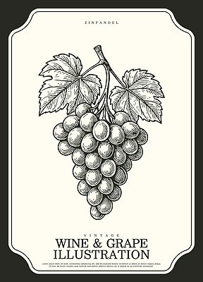 식물 전통 디자인 음료 예술 백그라운드 잎 과일 일러스트 자연 포도 농장 와인 빈티지 원형 그림 습관 스타일 국내일러스트 AI파일 도형 컨셉 농업 주류 생태계 파일형식 벡터