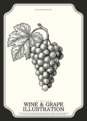 식물 디자인 열매 유럽 일러스트 재료 자연 포도 주택 주류 농장 와인 농사 수확 빈티지 달콤 그림 주말 국내일러스트 AI파일 나라 음료 컨셉 농업 과일 건물 맛 생태계 파일형식 벡터