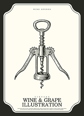 음료 컨셉 술잔 과일 포도 주류 공예 생태계 파일형식 벡터 와인 병따개 빈티지 디자인 그림 주방 바 와인잔 도구 포도송이 커피 자연 전통 수공예 일러스트 국내일러스트 AI파일