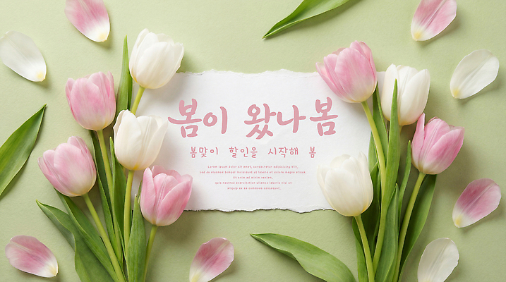 JPG 식물 편집이미지 디자인 계절 꽃 화초 컬러 꽃다발 봄꽃 자연 생명 초록색 축제 봄 튤립 메시지 꽃프레임 이미지편집 AI컴퓨터그래픽 AI콘텐츠 프레임 생태계 파일형식