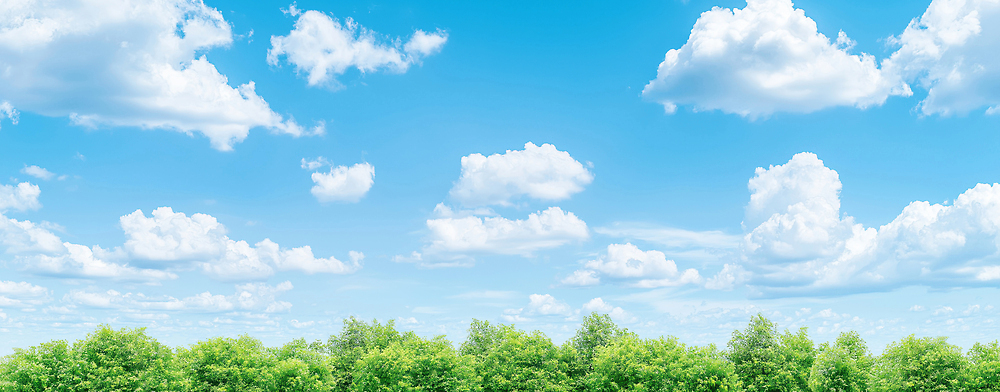 JPG 나무 구름 편집이미지 공원 자연 하늘 날씨 휴식 풍경 여름 파란색 햇빛 환경 봄 산책 숲 지역 편집실사 AI포토 AI콘텐츠 자연요소 식물 계절 공공시설 컬러 컨셉 태양 CG 생태계 파일형식