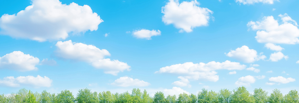 JPG 나무 구름 편집이미지 자연 하늘 날씨 풍경 야외 초록색 여름 파란색 햇빛 태양 맑음 봄 숲 조용 편집실사 AI포토 AI콘텐츠 자연요소 식물 계절 컬러 CG 생태계 파일형식