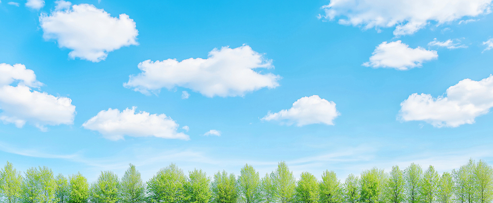 JPG 나무 식물 구름 편집이미지 감정 자연 하늘 날씨 풍경 초원 일상 여름 환경 맑음 봄 숲 편집실사 AI포토 AI콘텐츠 자연요소 계절 라이프 CG 생태계 파일형식