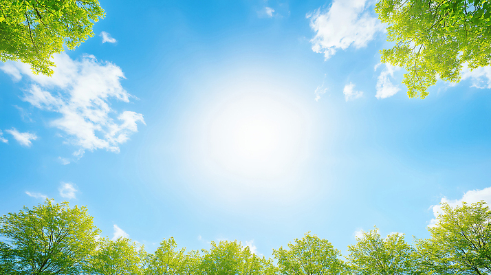JPG 나무 구름 편집이미지 공원 자연 하늘 나뭇잎 풍경 야외 초록색 여름 햇빛 태양 환경 봄 숲 편집실사 AI포토 AI콘텐츠 자연요소 식물 계절 공공시설 컬러 잎 CG 생태계 파일형식