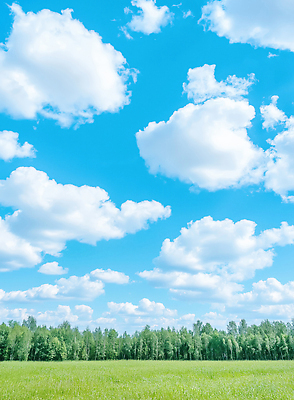 JPG 나무 구름 편집이미지 자연 하늘 풍경 초록색 여름 햇빛 환경 봄 숲 흰구름 지역 평원 편집실사 AI포토 AI콘텐츠 자연요소 식물 계절 컬러 태양 CG 생태계 파일형식 구름_자연