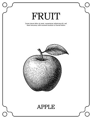 식물 산업 컬러 과일 모션 생태계 영양소 파일형식 벡터 사과 그리기 그림 자료 설명 검은색 흰색 디자인 텍스트 잎 자연 건강 비타민 음식 재료 농업 국내일러스트 일러스트 AI파일