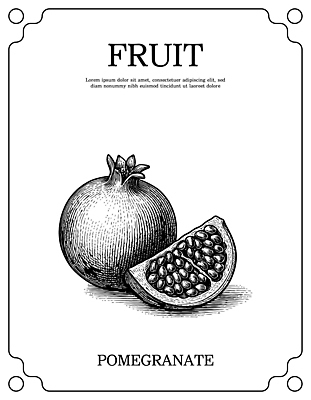 음식 가구 컨셉 농업 과일 모션 생태계 영양소 파일형식 벡터 석류 반쪽 탁자 자연 식물 식사 디저트 건강 맛 수확 농장 바닥 비타민 디자인 그리기 국내일러스트 일러스트 AI파일