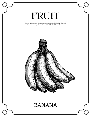 농업 과일 디저트 건강 생태계 영양소 파일형식 벡터 바나나 그림 채소 음식 도안 디자인 식물 자연 농작물 과자 다이어트 비타민 모양 예술 국내일러스트 일러스트 AI파일