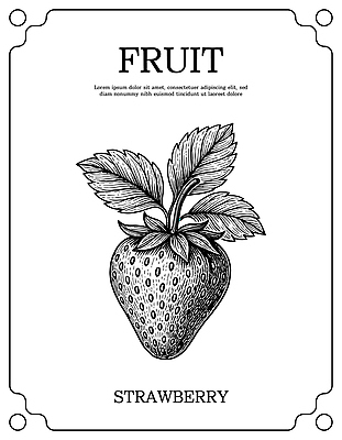 식물 음식 농업 과일 모션 촬영기법 파일형식 벡터 딸기 그림 잎 백그라운드 디자인 흑백 예술 장식 설명 손그림 음료 요리 디저트 농장 틀 광택 국내일러스트 일러스트 AI파일