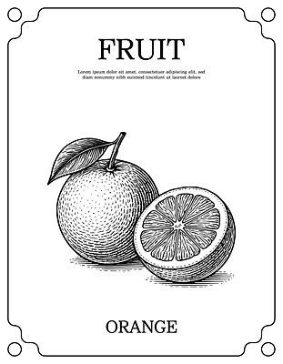 도형 음료 음식 조각 농업 과일 생태계 영양소 파일형식 벡터 오렌지 그림 과일조각 뷰티풀 생명 비타민 주스 건강 자연 원형 수확 농작물 장식 식사 디저트 컬러 표면 국내일러스트 일러스트 AI파일