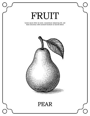 식물 잎 농업 배_과일 그림 생태계 영양소 파일형식 벡터 서양배 과일 나뭇잎 분류 농작물 자연 도안 디자인 정물화 음식 비타민 농사 성장 국내일러스트 일러스트 AI파일