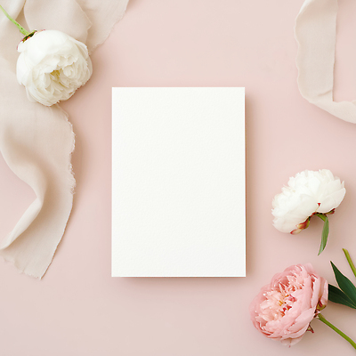 JPG 편집이미지 디자인 꽃 리본 분홍색 컬러 꽃다발 결혼 백그라운드 자연 결혼식 발렌타인데이 장식 카드 초대장 정리 부드러움 작약 편집실사 AI포토 AI콘텐츠 식물 데이이벤트 카드_감사 이벤트 감각 CG 생태계 파일형식