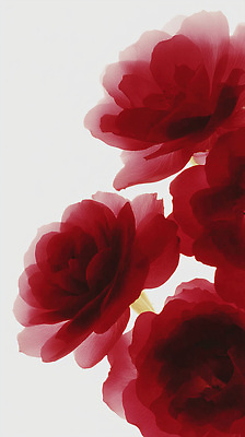 JPG 모양 식물 편집이미지 디자인 꽃 예술 컬러 꽃다발 백그라운드 자연 유리 생명 발렌타인데이 장식 빨간색 장미 투명 입체 부드러움 감성 조화 뷰티풀 이미지편집 AI컴퓨터그래픽 AI콘텐츠 컨셉 데이이벤트 재질 감각 생태계 파일형식