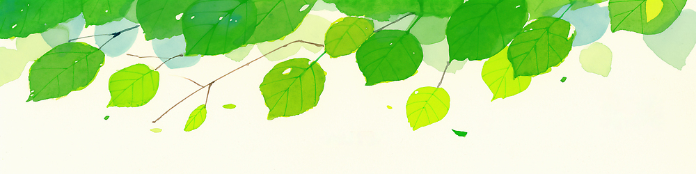 JPG 나무 식물 컬러 잎 일러스트 자연 생명 나뭇잎 초록색 여름 햇빛 노란색 환경 촬영 봄 성장 떨어짐 생태계 조화 뷰티풀 국내일러스트 AI일러스트 AI콘텐츠 계절 컨셉 태양 파일형식