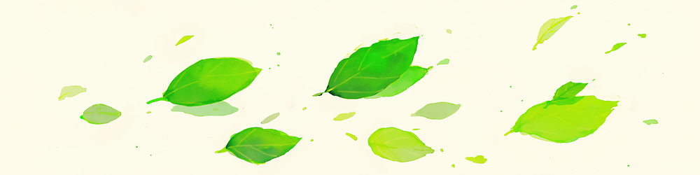 JPG 나무 식물 컬러 잎 일러스트 모션 자연 생명 바람 풍경 공중 여름 환경 봄 시간 변화 떨어짐 생태계 장면 국내일러스트 AI일러스트 AI콘텐츠 자연요소 계절 컨셉 날씨 파일형식