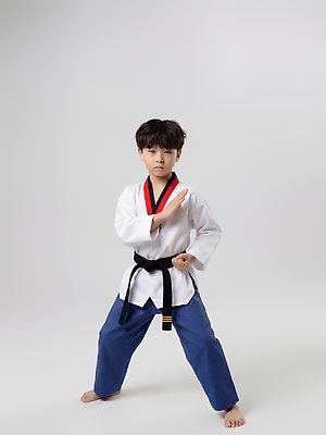 JPG 편집이미지 어린이 스포츠 포즈 기술 도복 운동 힘 집중 연습 태권도 태권도복 의료성형뷰티 편집실사 AI인물포토 AI콘텐츠 옷 컨셉 건강 사람 격투기 CG 파일형식 AI포토