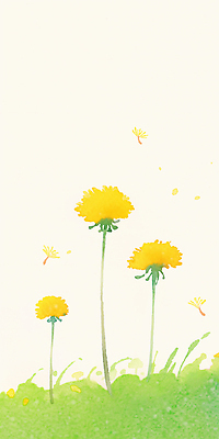 JPG 식물 꽃잎 꽃 감정 백그라운드 꽃밭 일러스트 자연 하늘 생명 바람 잔디 초원 여름 노란색 봄 들꽃 성장 민들레 식물원 국내일러스트 AI일러스트 AI콘텐츠 자연요소 계절 컬러 날씨 생태계 파일형식