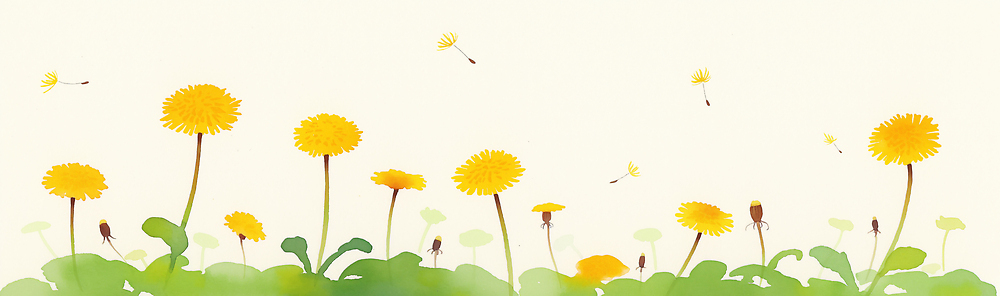 JPG 식물 꽃 잎 꽃밭 일러스트 자연 바람 날씨 씨앗 풍경 초원 햇빛 노란색 봄 민들레 생태계 민들레홀씨 가벼움 꽃씨 텃밭 국내일러스트 AI일러스트 AI콘텐츠 자연요소 계절 컬러 밭 태양 무게 파일형식