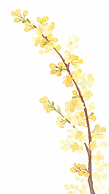JPG 식물 디자인 꽃 예술 벽 백그라운드 잎 일러스트 자연 수채화 미술 장식 노란색 감상 나뭇가지 표현 그림 부드러움 조화 산수유 국내일러스트 AI일러스트 AI콘텐츠 나무 컬러 문화예술 감각 생태계 파일형식