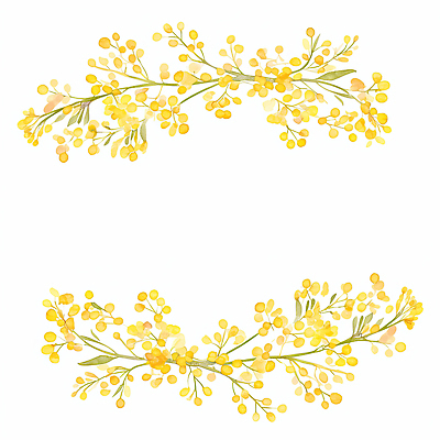 JPG 식물 디자인 꽃 화초 예술 컬러 백그라운드 잎 곡선 일러스트 자연 수채화 장식 인테리어 노란색 파티 흰색 그림 산수유 국내일러스트 AI일러스트 AI콘텐츠 선 이벤트 생태계 파일형식