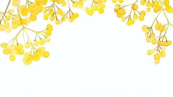 JPG 식물 디자인 예술 줄기 컬러 백그라운드 잎 일러스트 자연 생명 수채화 미술 그래픽 장식 봄 나뭇가지 조화 산수유 국내일러스트 AI일러스트 AI콘텐츠 나무 계절 꽃 문화예술 생태계 파일형식