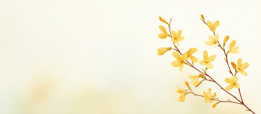 JPG 식물 라이프스타일 계절 꽃잎 꽃 줄기 백그라운드 일러스트 자연 하늘 생명 일상 노란색 목욕 나뭇가지 관찰 개나리 순간 요구르트 국내일러스트 AI일러스트 AI콘텐츠 나무 컬러 모션 유제품 라이프 생활 청결 생태계 파일형식