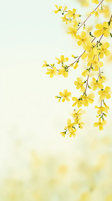 JPG 식물 꽃잎 꽃 컬러 백그라운드 일러스트 자연 하늘 생명 초원 햇빛 노란색 환경 봄 성장 개나리 향기 국내일러스트 AI일러스트 AI콘텐츠 계절 태양 생태계 냄새 파일형식