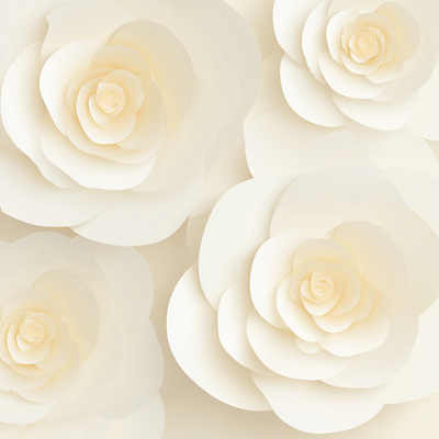 JPG 모양 편집이미지 디자인 꽃잎 꽃 종이 예술 백그라운드 자연 장식 흰색 부드러움 겹침 이미지편집 AI컴퓨터그래픽 AI콘텐츠 식물 컬러 감각 생태계 파일형식