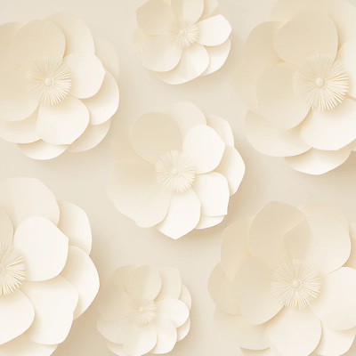 JPG 편집이미지 디자인 꽃 예술 백그라운드 재료 장식 공간 흰색 크기 배열 소재 베이지색 종이꽃 이미지편집 AI컴퓨터그래픽 AI콘텐츠 식물 컬러 파일형식
