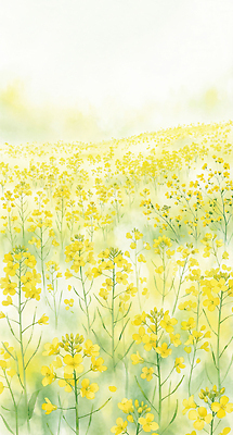JPG 식물 계절 꽃 꽃밭 밭 일러스트 자연 생명 풍경 초원 햇빛 노란색 환경 봄 금색 땅 만개 유채밭 국내일러스트 AI일러스트 AI콘텐츠 컬러 농업 태양 유채 생태계 파일형식