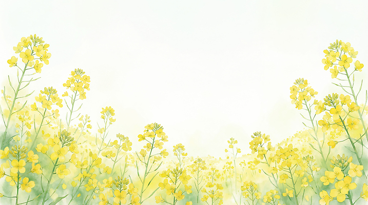 JPG 식물 꽃 백그라운드 꽃밭 일러스트 자연 하늘 생명 풍경 초원 여름 햇빛 노란색 온도 유채밭 국내일러스트 AI일러스트 AI콘텐츠 계절 컬러 밭 태양 유채 생태계 파일형식