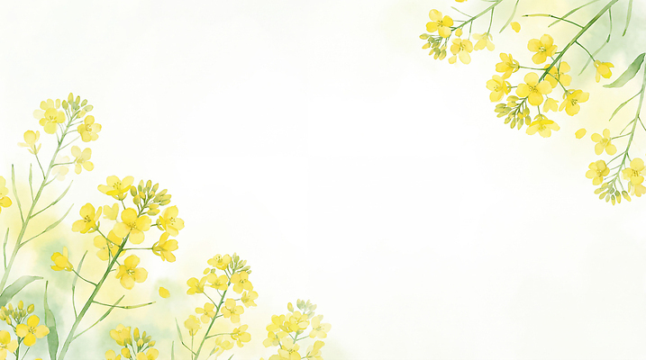 JPG 식물 계절 백그라운드 잎 꽃밭 일러스트 자연 하늘 수채화 정원 봄 그림 화사함 유채밭 국내일러스트 AI일러스트 AI콘텐츠 꽃 컨셉 밭 유채 생태계 파일형식