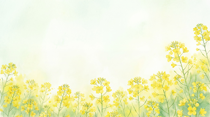 JPG 식물 꽃 백그라운드 꽃밭 일러스트 자연 생명 풍경 초원 햇빛 노란색 봄 수확 향기 지역 기온 유채밭 경관 국내일러스트 AI일러스트 AI콘텐츠 계절 컬러 밭 농업 날씨 태양 유채 생태계 냄새 파일형식