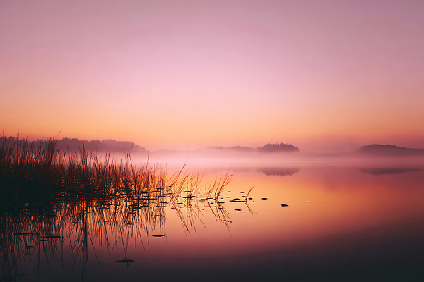 JPG 나무 편집이미지 호수 자연 아침 풍경 물 여름 햇빛 평화 일출 안개 물방울 수면 편집실사 AI포토 AI콘텐츠 주간 자연요소 식물 계절 컨셉 날씨 태양 노을 CG 생태계 파일형식