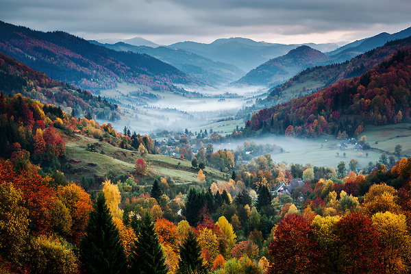 JPG 나무 편집이미지 컬러 자연 하늘 산 풍경 마을 계곡 고요 안개 시골 저녁 숲 편집실사 AI포토 AI콘텐츠 식물 날씨 야간 CG 생태계 파일형식