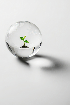 JPG 식물 편집이미지 지구 상징 자연 생명 조명 지구본 자연보호 환경 흙 성장 관찰 원형 광택 디지털아트 이미지편집 AI컴퓨터그래픽 AI콘텐츠 도형 모션 보호 생태계 파일형식