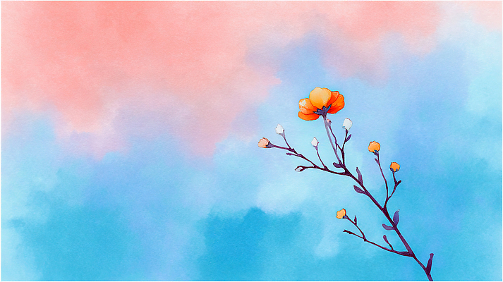 JPG 식물 꽃 감정 예술 분홍색 컬러 백그라운드 일러스트 자연 하늘 생명 미술 장식 주황색 봄 흰색 그림 국내일러스트 AI일러스트 AI콘텐츠 계절 문화예술 생태계 파일형식