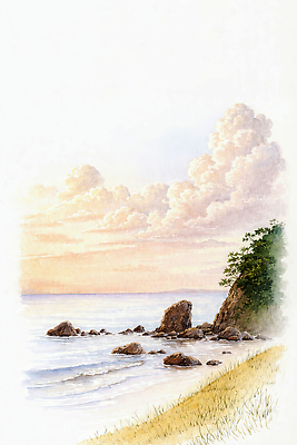 JPG 물결 파도 바다 일러스트 자연 하늘 바람 날씨 풍경 잔디 해변 물 소리 일몰 산책 해초 산호초 저녁 국내일러스트 AI일러스트 AI콘텐츠 자연요소 식물 휴식 노을 수중식물 해조류 야간 생태계 파일형식