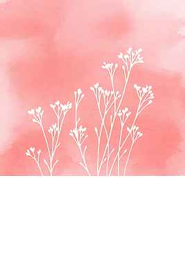 JPG 모양 식물 디자인 꽃 감정 예술 줄기 분홍색 컬러 백그라운드 잎 겨울 패턴 일러스트 자연 수채화 장식 흰색 표현 스타일 국내일러스트 AI일러스트 AI콘텐츠 계절 무늬 생태계 파일형식