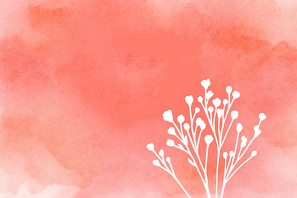 JPG 모양 식물 디자인 꽃 예술 컬러 백그라운드 잎 겨울 일러스트 자연 수채화 장식 빨간색 흰색 배열 그림 질감 봉오리 창의성 국내일러스트 AI일러스트 AI콘텐츠 계절 생태계 파일형식