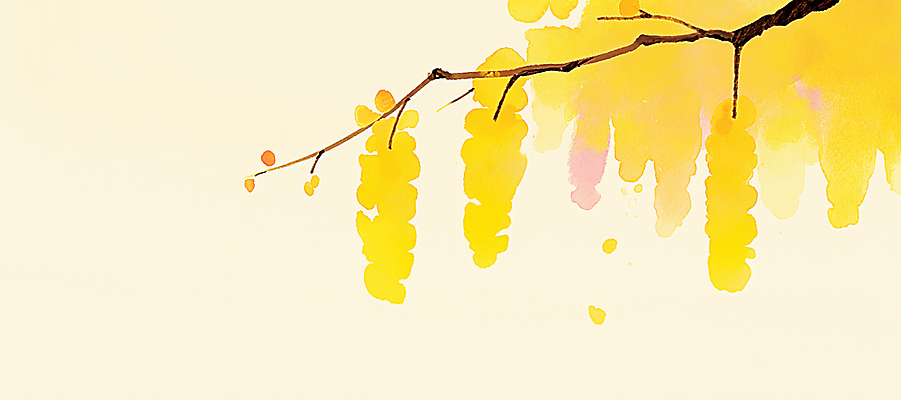 JPG 나무 식물 꽃잎 꽃 컬러 백그라운드 일러스트 자연 생명 따뜻함 풍경 봄 나뭇가지 개나리 꽃집 장면 화사함 조화 뷰티풀 국내일러스트 AI일러스트 AI콘텐츠 계절 컨셉 상점 생태계 파일형식