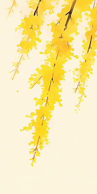 JPG 식물 계절 꽃잎 꽃 화초 컬러 백그라운드 일러스트 자연 생명 밝음 풍경 햇빛 노란색 봄 산책 개나리 원예 식물원 조경 가지치기 뷰티풀 국내일러스트 AI일러스트 AI콘텐츠 휴식 취미 태양 생태계 파일형식